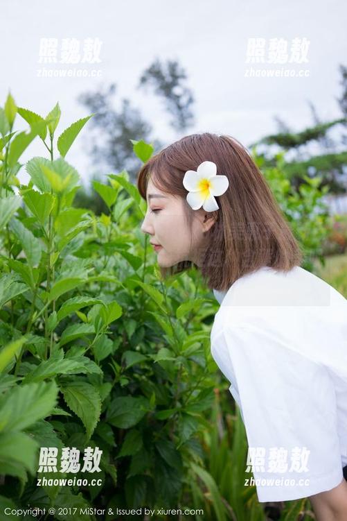 MiStar魅妍社-Mieko林美惠子 MiStar魅妍社 - Mieko林美惠子最新镂空合集,哎呀,谁能抗拒这种含蓄的美呢?