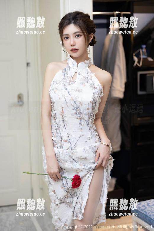 Xiuren秀人网-是小逗逗 Xiuren秀人网 - 突破次元壁!是小逗逗裤里丝写真全集现身