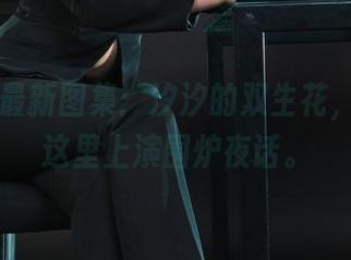 丽柜 – 最新图集：汐汐的双生花，岁月在这里上演围炉夜话。